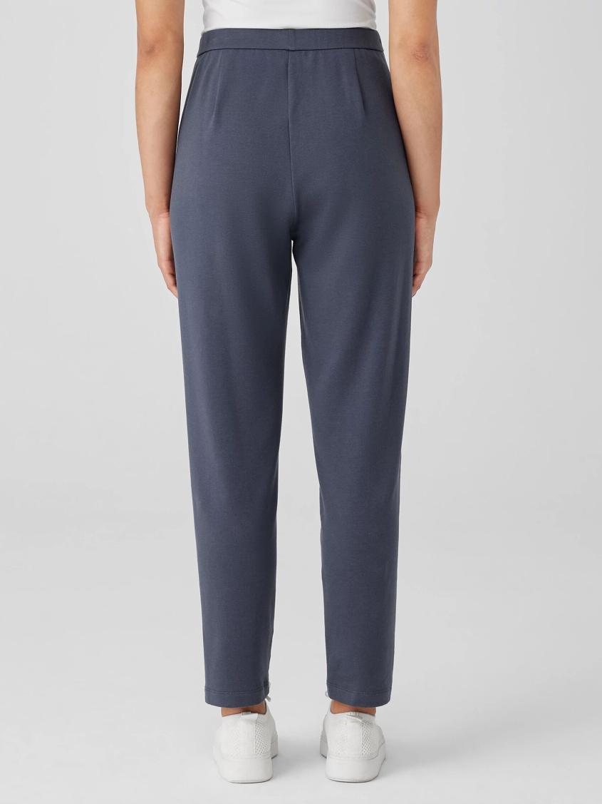 Eileen Fisher Pants, Shorts &amp; Jumpsuits | Cozy Brushed Terry Hug Slouchy Pant Ocean - Women