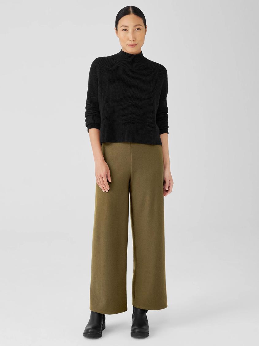 Eileen Fisher Sweaters &amp; Cardigans | Merino Cropped Turtleneck Top In Regenerative Wool Black - Women