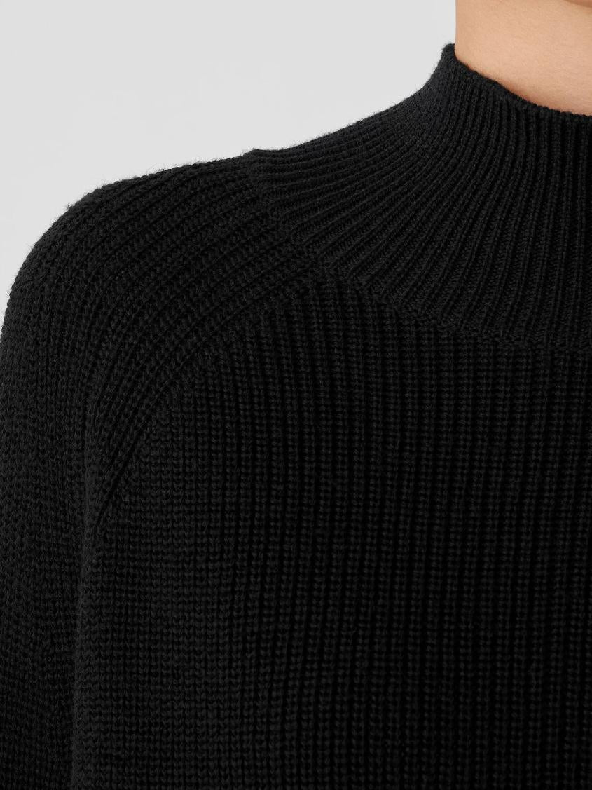 Eileen Fisher Sweaters &amp; Cardigans | Merino Cropped Turtleneck Top In Regenerative Wool Black - Women
