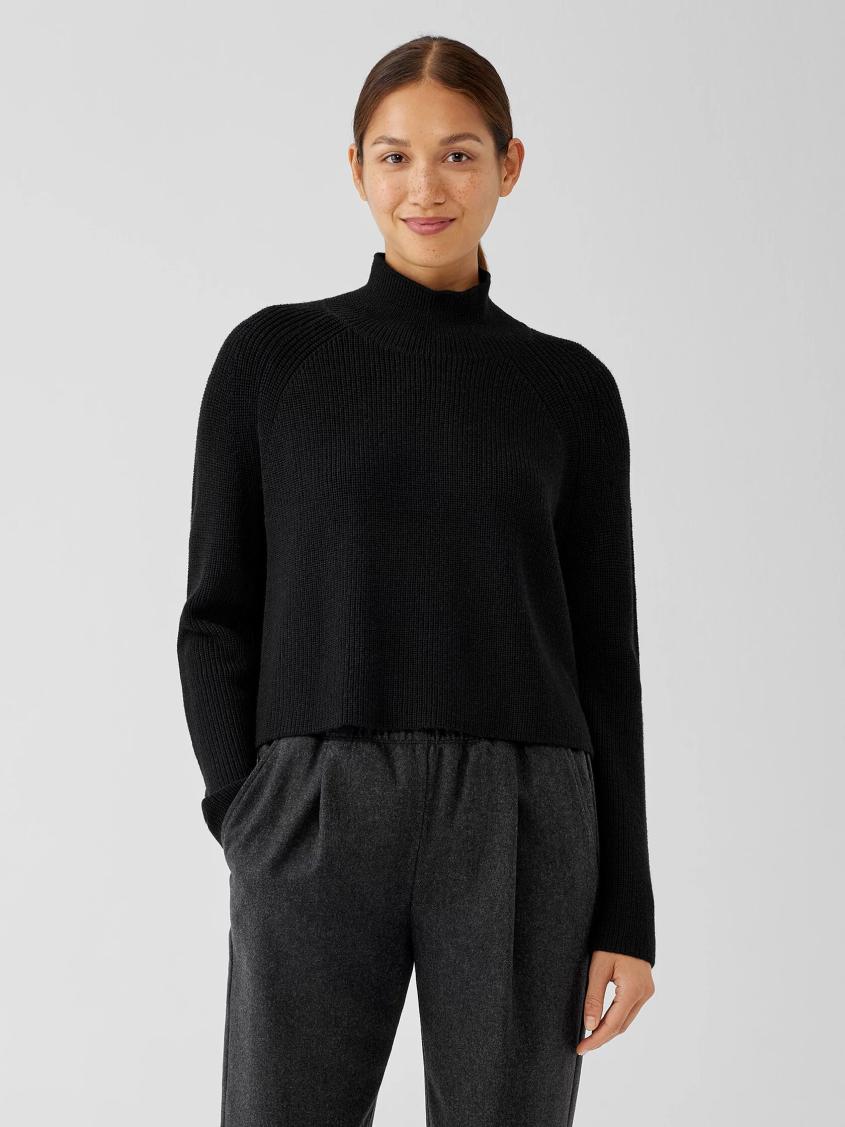 Eileen Fisher Sweaters &amp; Cardigans | Merino Cropped Turtleneck Top In Regenerative Wool Black - Women