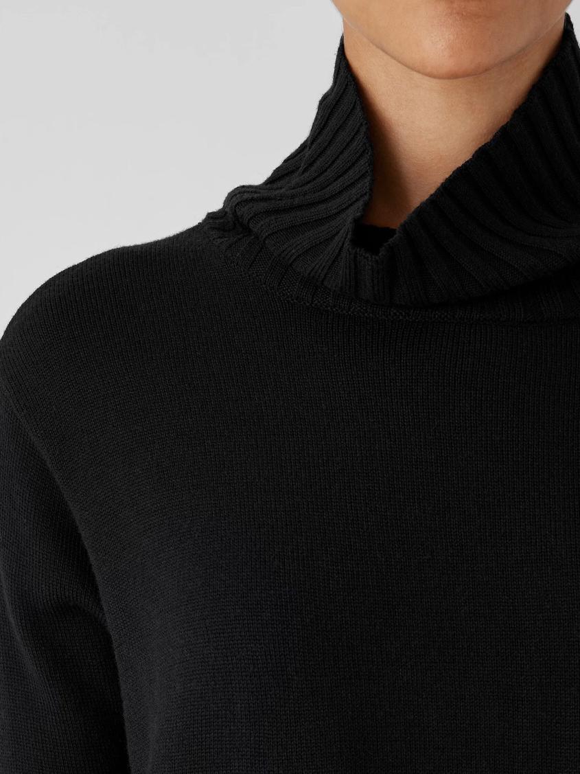 Eileen Fisher Sweaters &amp; Cardigans | Merino Jersey Turtleneck In Regenerative Wool Black - Women