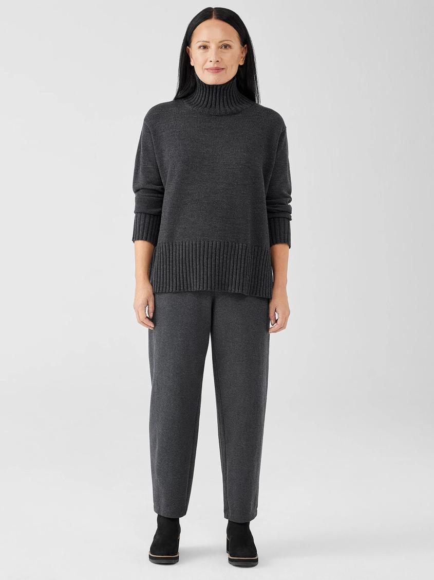 Eileen Fisher Sweaters &amp; Cardigans | Merino Jersey Turtleneck In Regenerative Wool Charcoal - Women